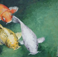 123colourfish